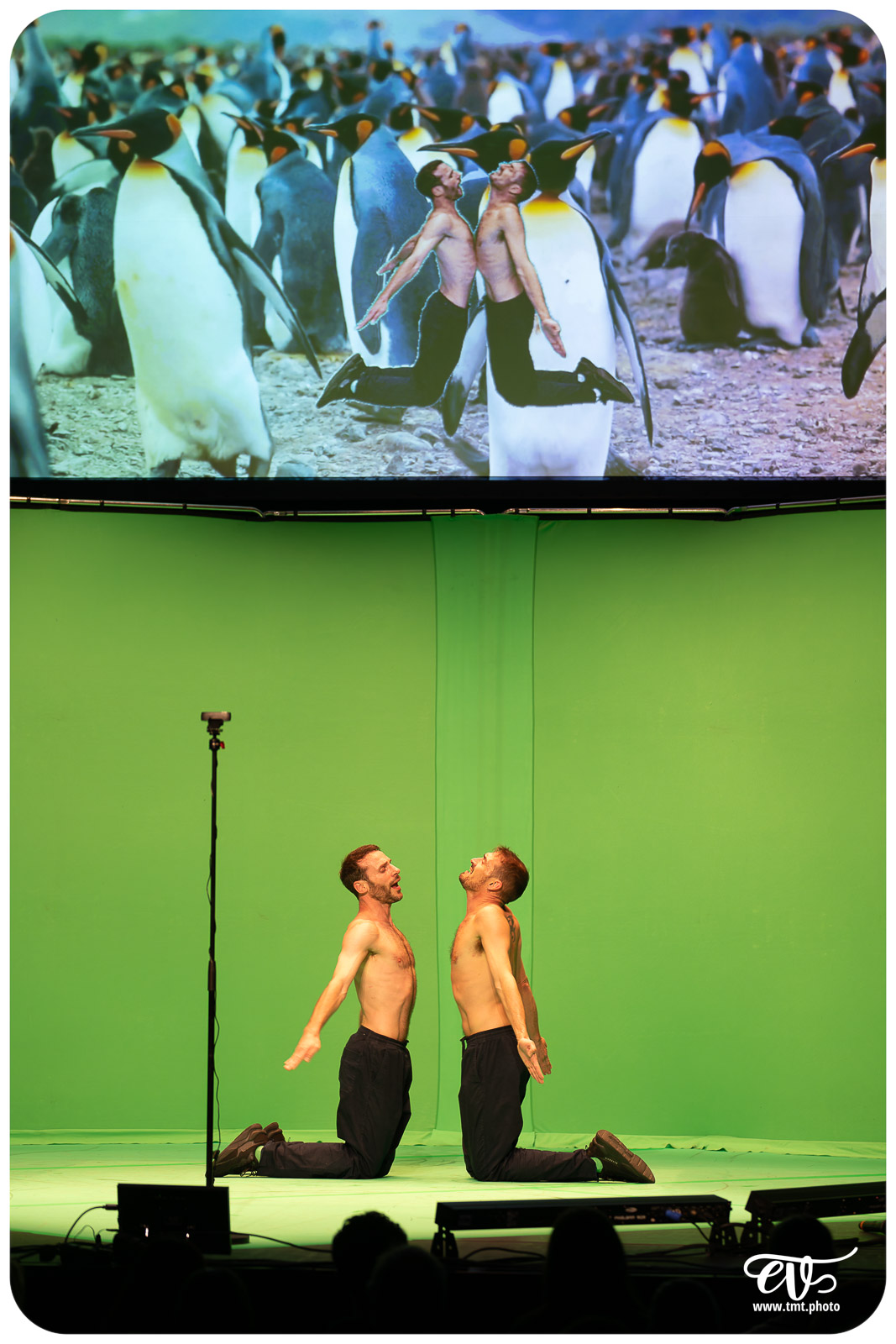 DYSTOPIA (UN POYO ROYO)